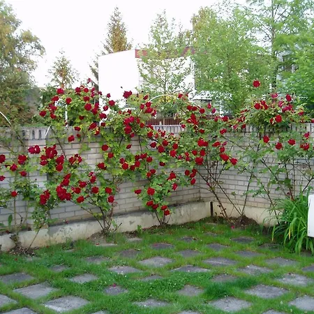 Hotel Rosa